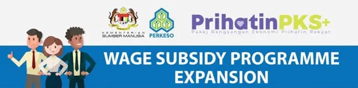wage subsidy programme