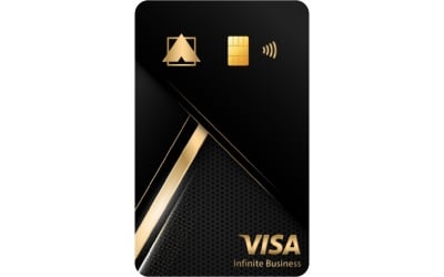 Alliance Bank Visa Infinite Business Credit Card