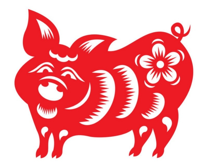 2019 Financial Predictions Based On Your Chinese Zodiac