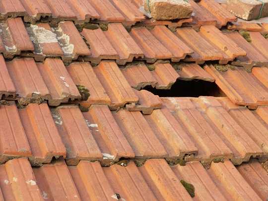 Is Your Landlord Bad News?