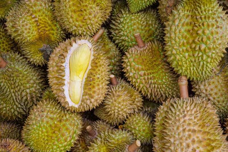 Cheaper Prices This Durian Season